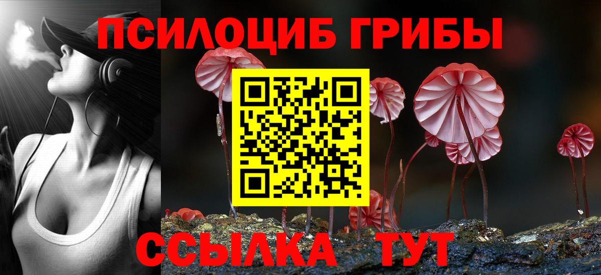 Ливны  Псилоцибиновые грибы прущие грибы  цены   Вход с VPN 